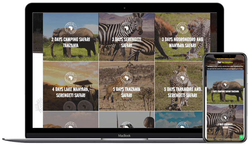 Tvorba webových stránek ChaCha Tours Africa